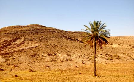 sahara-desierto.jpg