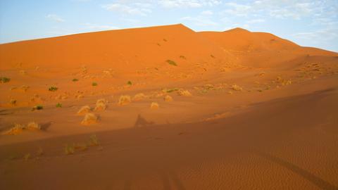 desierto-en-algeria.jpg